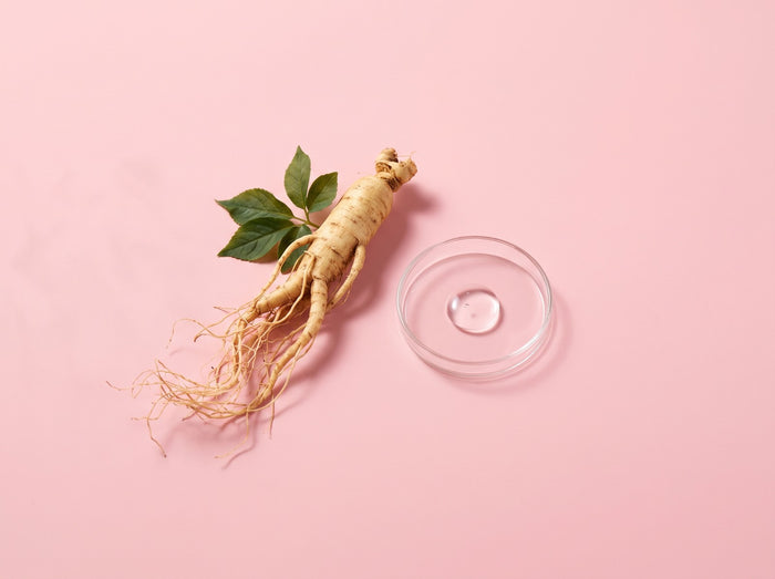 Extrait de ginseng